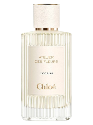 Chloe Cedrus bottle